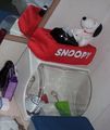Day 1 - The snoopy themed tissue box.jpg