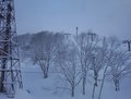 Day 3 - View of fresh snow on Kogen.JPG
